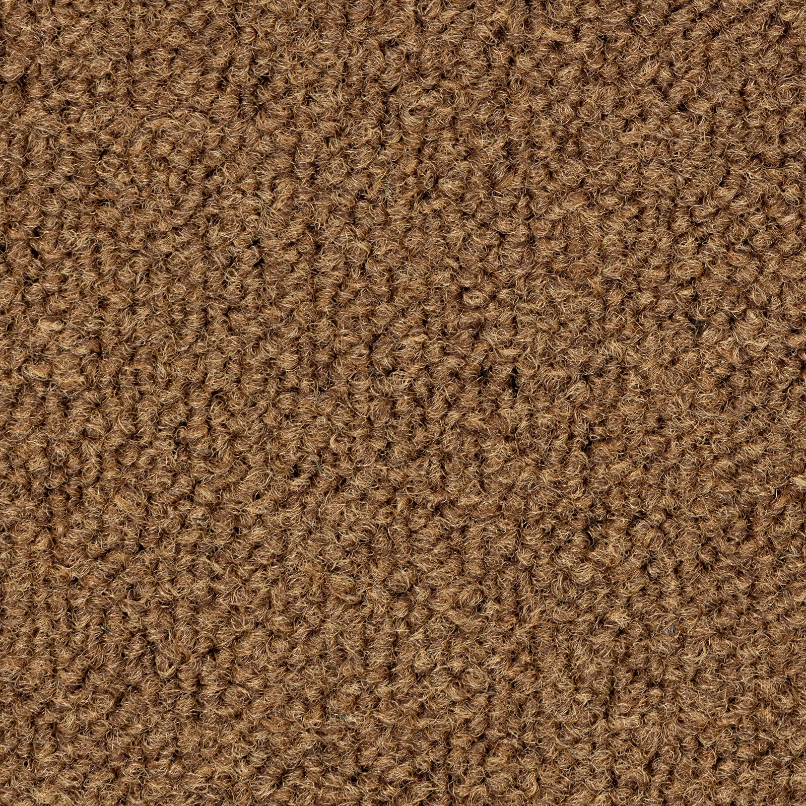 F4_Braun EDG135F02