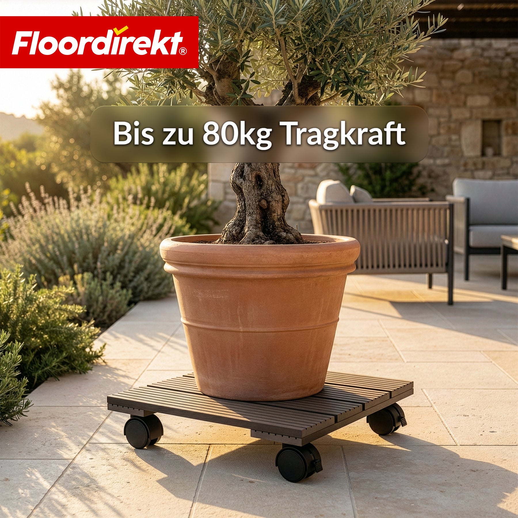 WPC-Pflanzenroller | Marquis | Rolluntersetzer 30 x 30 cm | 360° Lenkrollen mit Bremse | Tragkraft bis 80 kg